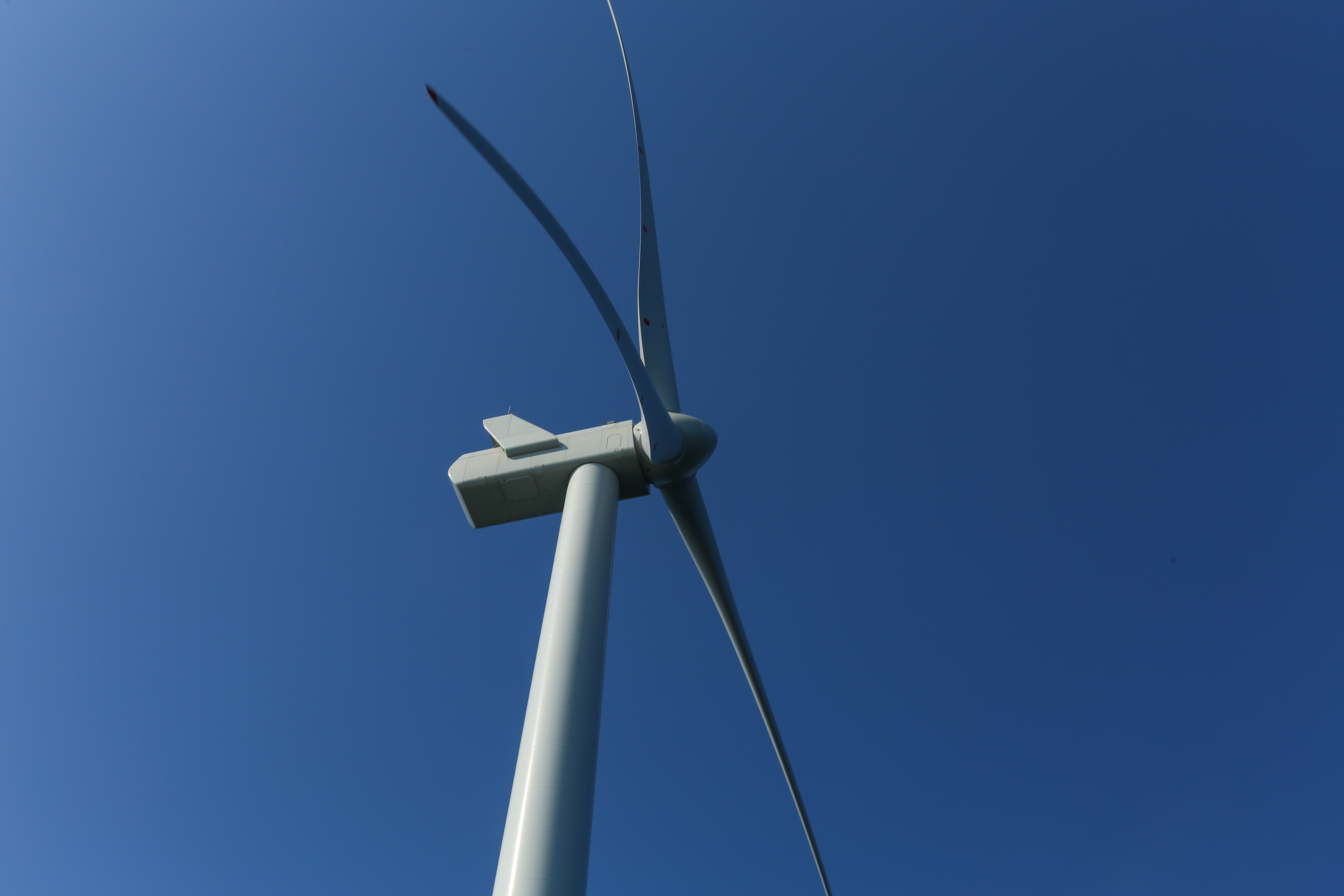 Rampion Offshore Wind Farm case study